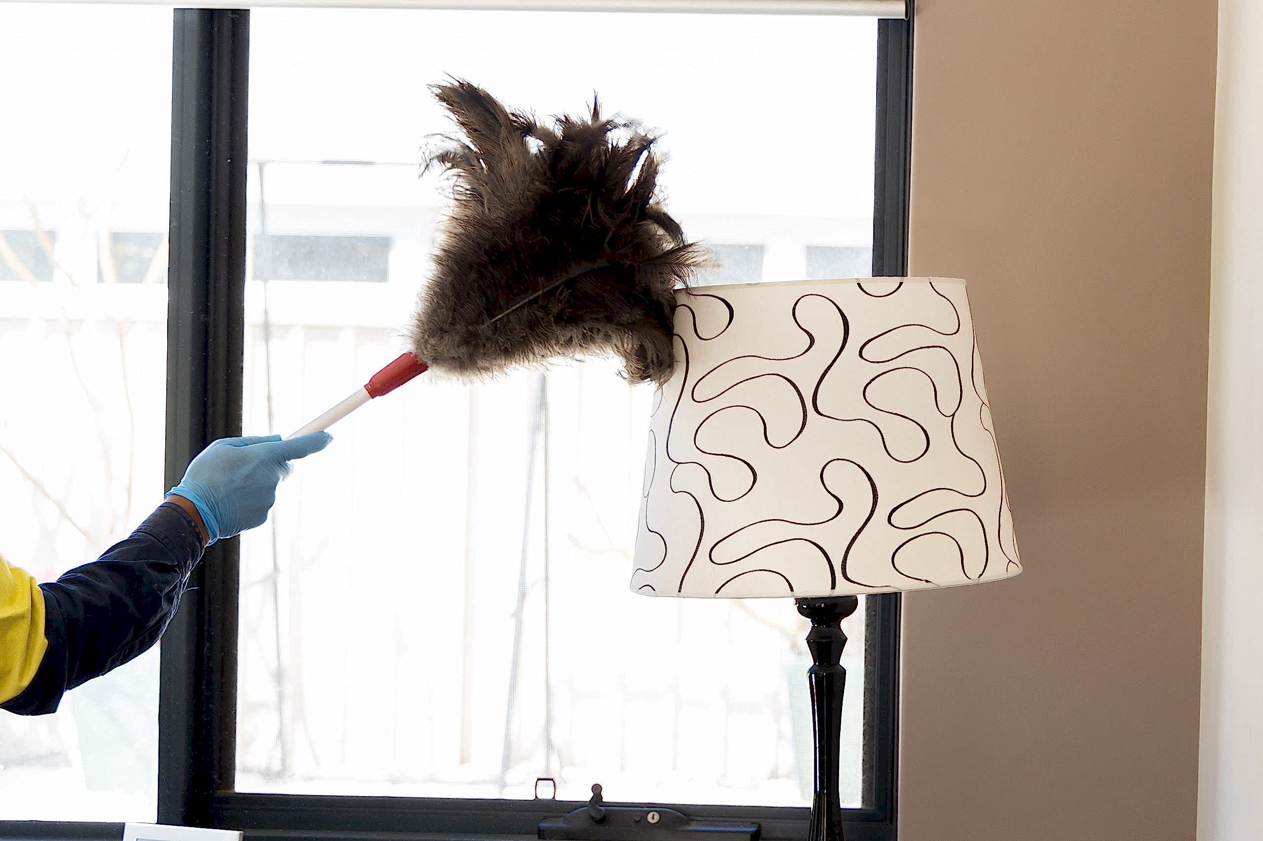 someone feather dusting a lampshade
