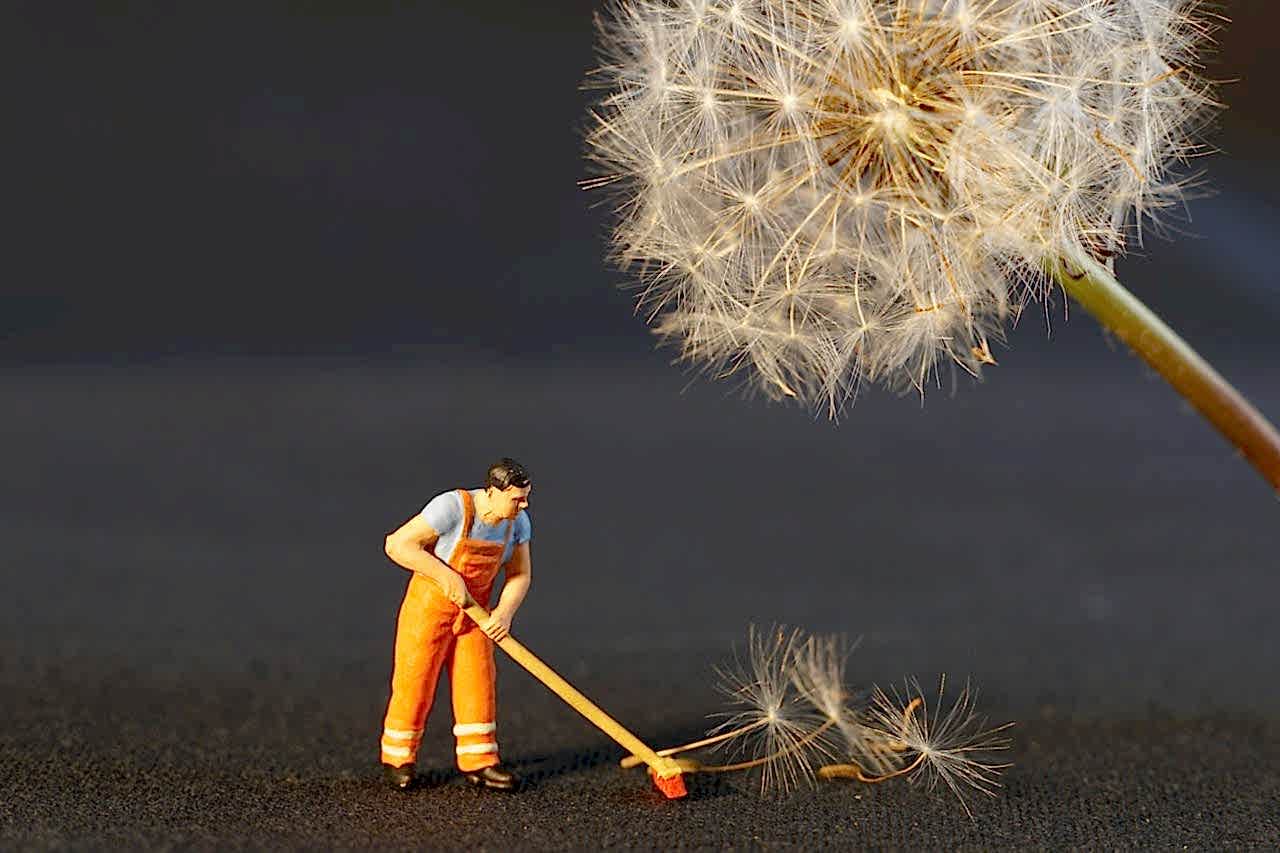pexels pixabay 434163 The Complete Guide to End of Lease Cleaning in Perth: Tips for a Hassle-Free Move 2 pexels pixabay 434163 The Complete Guide to End of Lease Cleaning in Perth: Tips for a Hassle-Free Move 1